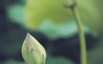 Descubre cómo encontrar equilibrio entre lo profesional y lo personal a través de prácticas espirituales en el trabajo